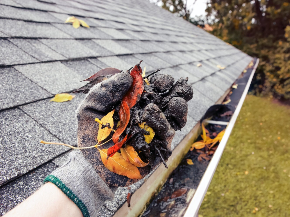 Gutter Cleaning
